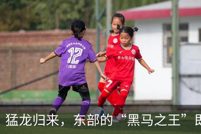 猛龙归来，东部的“黑马之王”即将开启疯狂反击！